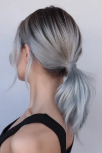 Silver Highlights + Sleek Ponytail