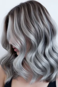 Silver Highlights with Black Roots